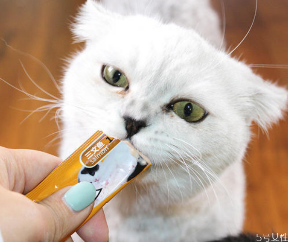 貓零食有哪些 貓咪貓條推薦 貓零食有哪些 貓咪貓條推薦