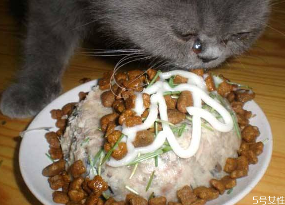 貓糧制作方法配方大全 貓糧怎么做成一粒一粒 貓糧制作方法配方大全 貓糧怎么做成一粒一粒