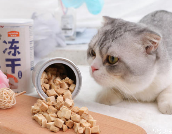 幼貓糧要吃到幾個(gè)月 全期貓糧適合多大貓吃 幼貓糧要吃到幾個(gè)月 全期貓糧適合多大貓吃