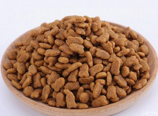 貓咪不吃貓糧怎么辦 貓會(huì)挑食把自己餓死嗎 貓咪不吃貓糧怎么辦 貓會(huì)挑食把自己餓死嗎