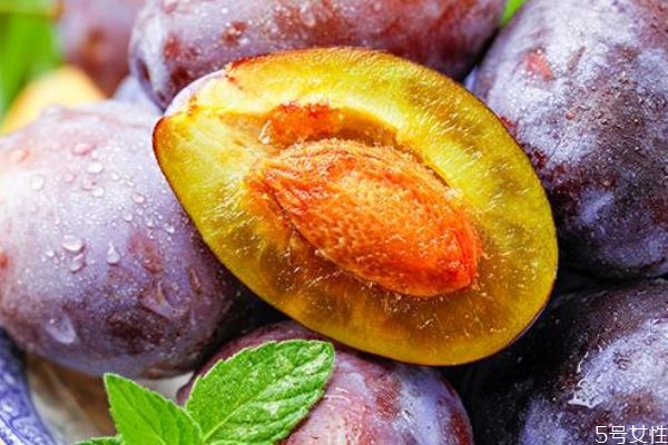 西梅一天吃幾個為宜 西梅應該早上還是晚上吃 西梅一天吃幾個為宜 西梅應該早上還是晚上吃