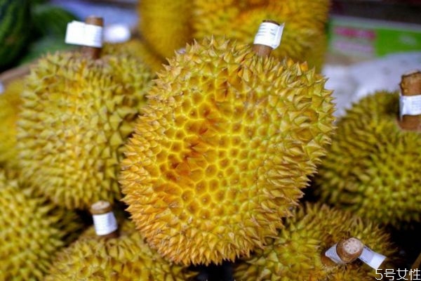 榴蓮肉里面有水正常嗎 榴蓮肉出水還能吃嗎 榴蓮肉里面有水正常嗎 榴蓮肉出水還能吃嗎