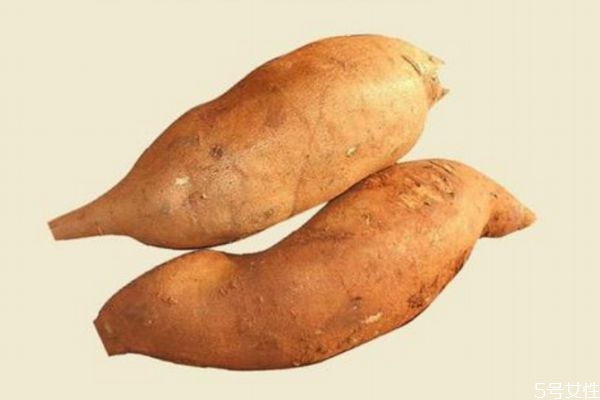 雪蓮果什么季節(jié)吃比較好 吃雪蓮果的禁忌 雪蓮果什么季節(jié)吃比較好 吃雪蓮果的禁忌