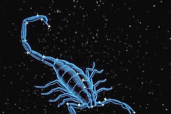 天蝎座男生最配星座 天蝎座男生的愛(ài)情性格特征 天蝎座男生最配星座 天蝎座男生的愛(ài)情性格特征