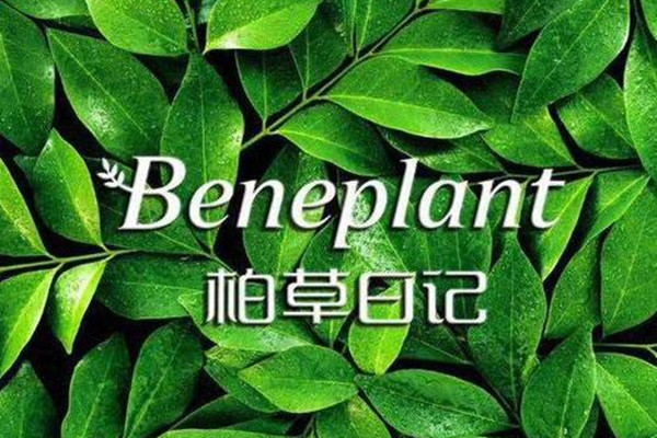 柏草日記怎么樣 柏草日記屬于幾線品牌 柏草日記怎么樣 柏草日記屬于幾線品牌