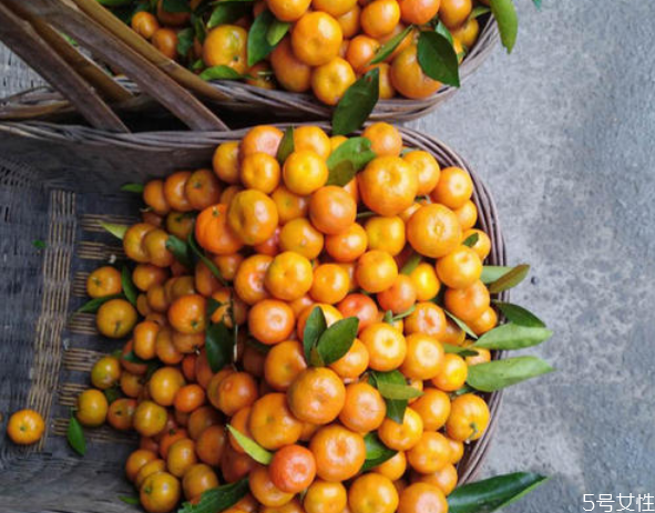 金錢橘一天可以吃幾個(gè) 金錢橘上火還是降火 金錢橘一天可以吃幾個(gè) 金錢橘上火還是降火