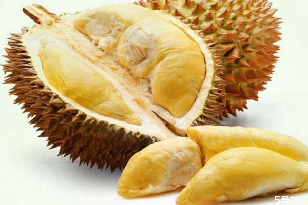榴蓮果核的地方有點(diǎn)酸是什么原因 榴蓮果核能吃嗎 榴蓮果核的地方有點(diǎn)酸是什么原因 榴蓮果核能吃嗎