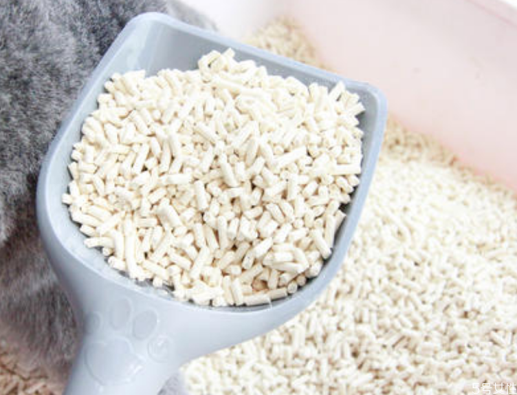 貓砂哪種比較好用 好用的貓砂排名 貓砂哪種比較好用 好用的貓砂排名