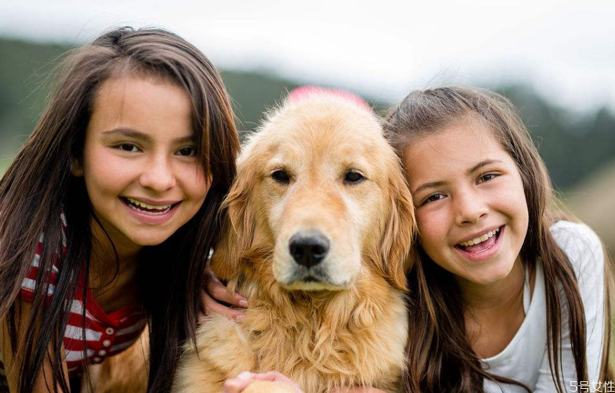 狗狗怎么訓(xùn)練才聽(tīng)話 訓(xùn)練狗狗離開(kāi)主人不叫