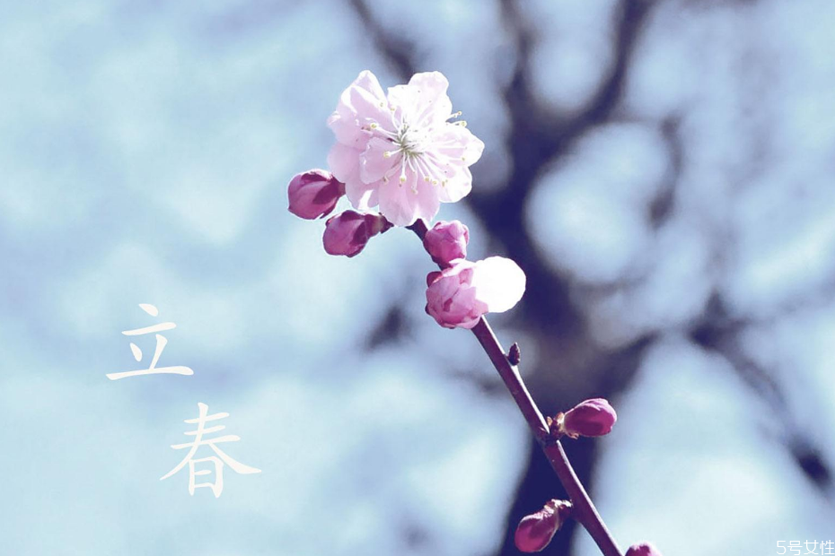 2021年哪些屬相需要躲春 2021年立春躲春的禁忌 2021年哪些屬相需要躲春 2021年立春躲春的禁忌