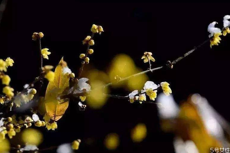 躲春可以開燈嗎 2021年躲太歲的時(shí)間和方法 躲春可以開燈嗎 2021年躲太歲的時(shí)間和方法