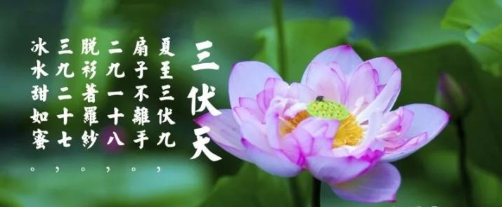 三伏天是什么？三伏天應(yīng)注意什么？