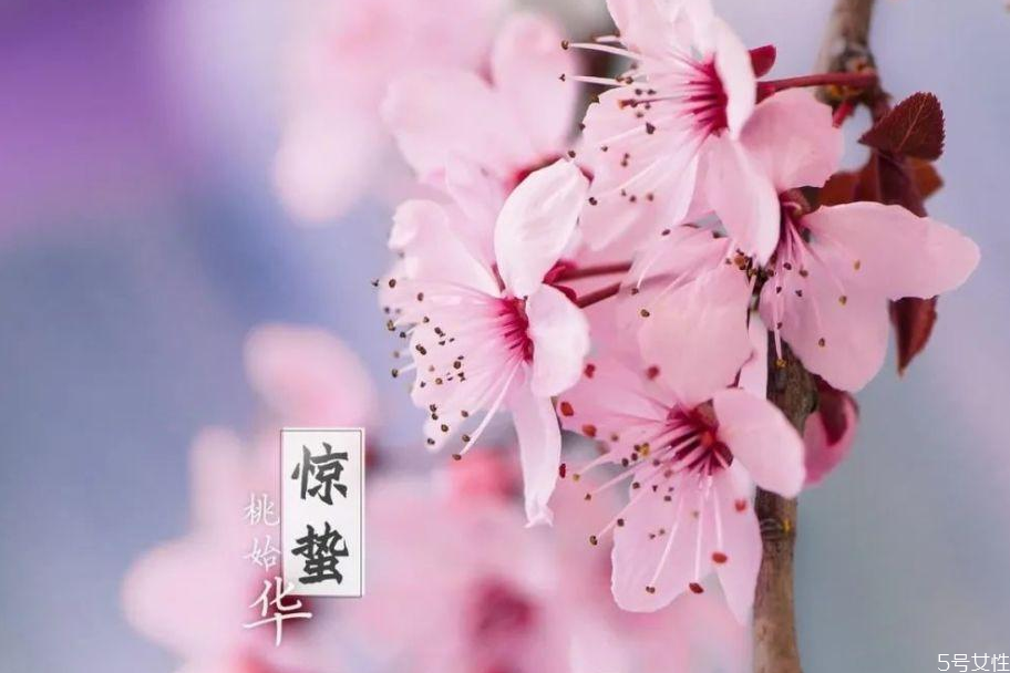 驚蟄為什么要吃雞蛋 雞蛋吃雞蛋的說(shuō)法 驚蟄為什么要吃雞蛋 雞蛋吃雞蛋的說(shuō)法