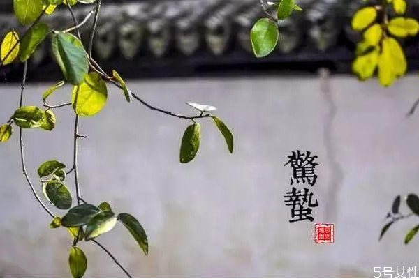 驚蟄為什么要吃雞蛋 雞蛋吃雞蛋的說(shuō)法 驚蟄為什么要吃雞蛋 雞蛋吃雞蛋的說(shuō)法