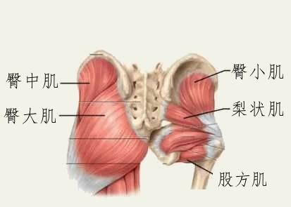 臀部練多久會有變大明顯的效果 臀部練多久會有變大明顯的效果
