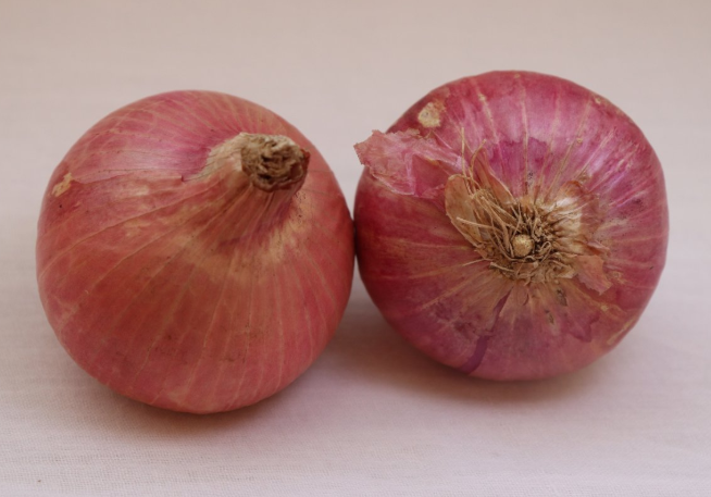 水洋蔥的功效與作用 水洋蔥的功效和藥用價(jià)值 水洋蔥的功效與作用 水洋蔥的功效和藥用價(jià)值