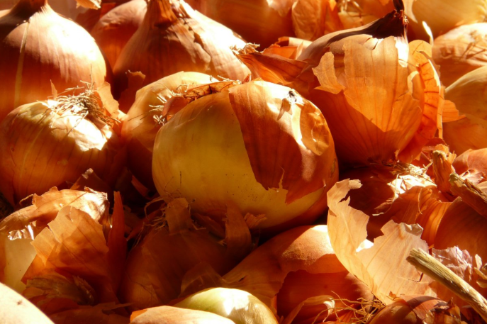 水洋蔥煮水喝功效 水洋蔥泡茶對前列腺好嗎 水洋蔥煮水喝功效 水洋蔥泡茶對前列腺好嗎