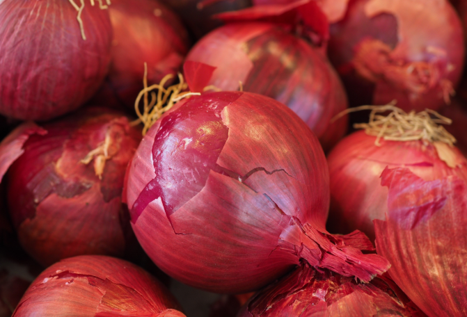 水洋蔥的功效與作用 水洋蔥的功效和藥用價(jià)值 水洋蔥的功效與作用 水洋蔥的功效和藥用價(jià)值