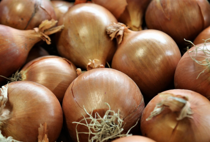 水洋蔥的功效與作用 水洋蔥的功效和藥用價(jià)值 水洋蔥的功效與作用 水洋蔥的功效和藥用價(jià)值