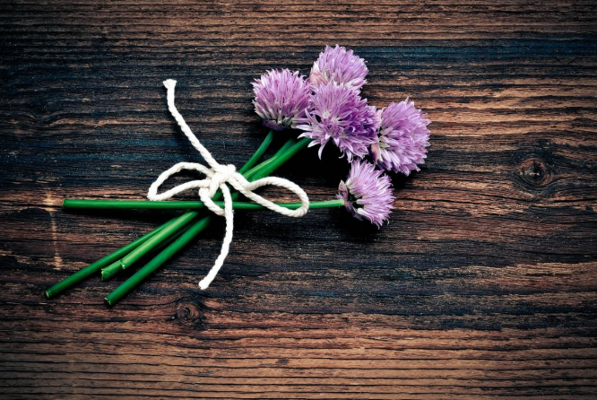 春韭的功效 春韭菜的營養(yǎng)價值 春韭的功效 春韭菜的營養(yǎng)價值