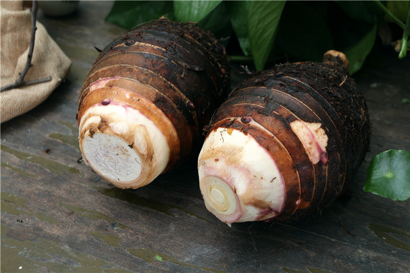 芋子葉的作用與功效 芋子葉子的功效 芋子葉的作用與功效 芋子葉子的功效