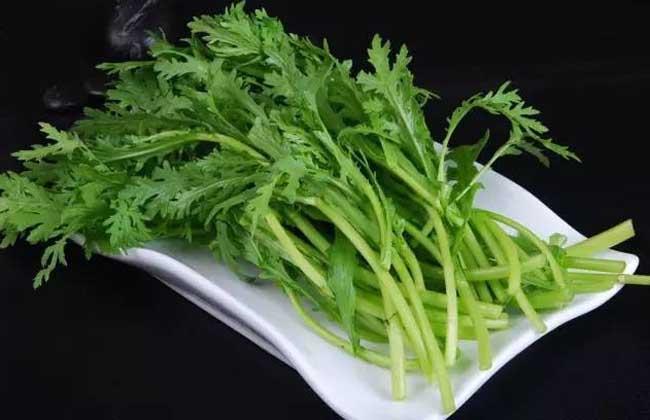 苦菊和茼蒿的區(qū)別 苦菊和茼蒿能一起吃嗎 苦菊和茼蒿的區(qū)別 苦菊和茼蒿能一起吃嗎