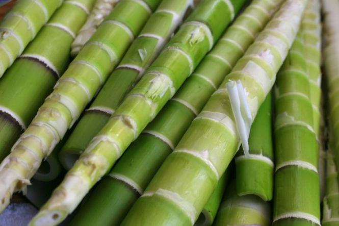 新鮮竹筍怎么保鮮儲存 新鮮竹筍如何處理能長期保鮮 新鮮竹筍怎么保鮮儲存 新鮮竹筍如何處理能長期保鮮