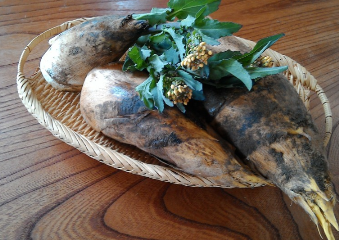 新鮮竹筍怎么保鮮儲存 新鮮竹筍如何處理能長期保鮮 新鮮竹筍怎么保鮮儲存 新鮮竹筍如何處理能長期保鮮