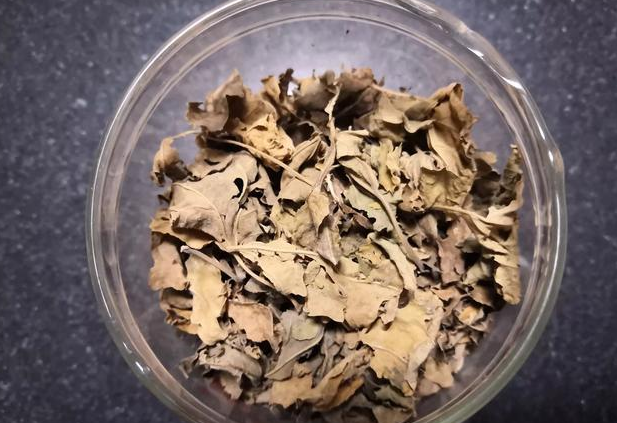 喝桑葉茶能減肥嗎?有什么副作用？