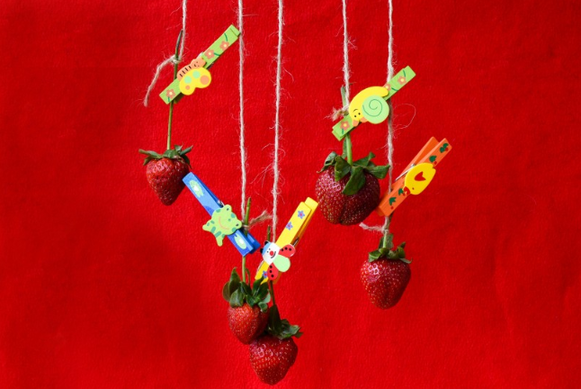 草莓有什么營養(yǎng)價值 吃草莓有什么好處和功能 草莓有什么營養(yǎng)價值 吃草莓有什么好處和功能