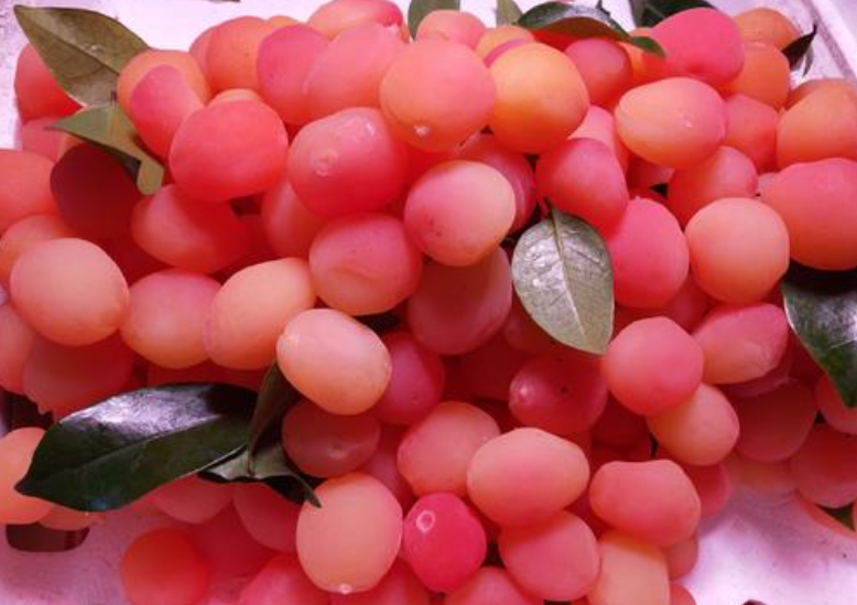 金西梅是什么水果 金西梅是染色的嗎 金西梅是什么水果 金西梅是染色的嗎