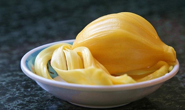 菠蘿蜜核的功效與作用、禁忌和食用方法