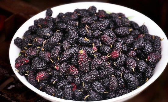 桑葚要泡鹽水嗎 要泡多長時間 桑葚要泡鹽水嗎 要泡多長時間