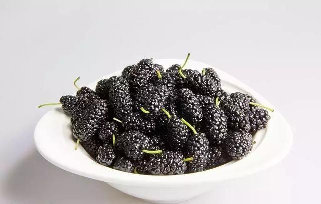 桑葚有幾種品種 桑葚有毛能不能吃 桑葚有幾種品種 桑葚有毛能不能吃