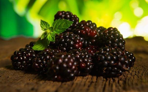 桑葚能降血壓嗎 降血壓的食物有哪些 桑葚能降血壓嗎 降血壓的食物有哪些