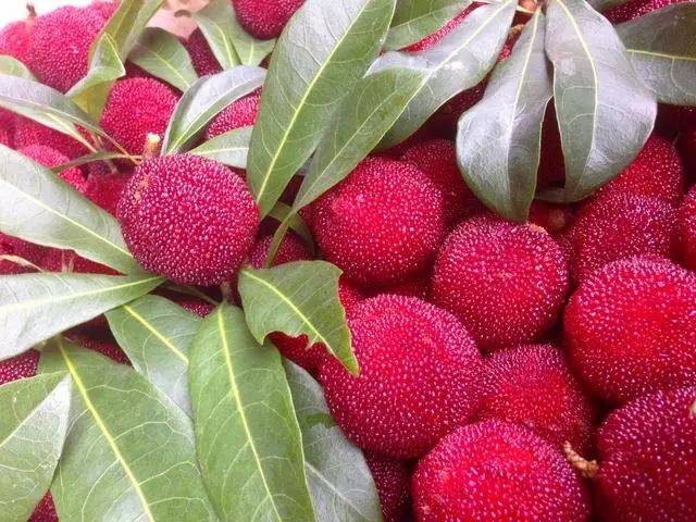 四月是什么水果的季節(jié) 四月份吃什么水果應季