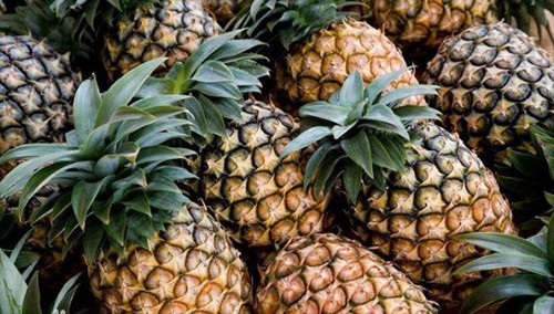 菠蘿可以隔夜吃不 菠蘿可以放冰箱嗎