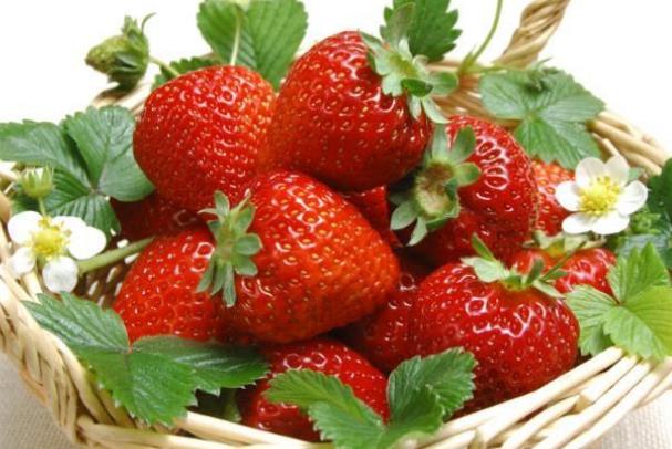 吃草莓會過敏嗎 為什么吃草莓會過敏 吃草莓會過敏嗎 為什么吃草莓會過敏