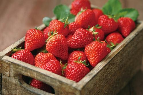 草莓怎么清洗比較干凈還不爛 草莓是寒性還是熱性的 草莓怎么清洗比較干凈還不爛 草莓是寒性還是熱性的