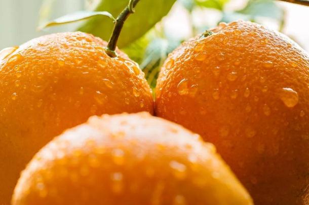 橙子和橘子的區(qū)別 橙子和橘子哪個(gè)營養(yǎng)高