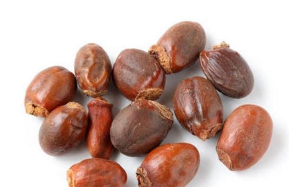 荔枝核怎么服用 荔枝核煮水一般煮幾顆合適 荔枝核怎么服用 荔枝核煮水一般煮幾顆合適