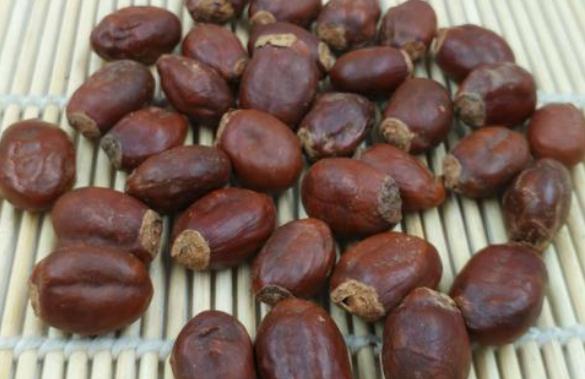 荔枝核怎么服用 荔枝核煮水一般煮幾顆合適 荔枝核怎么服用 荔枝核煮水一般煮幾顆合適