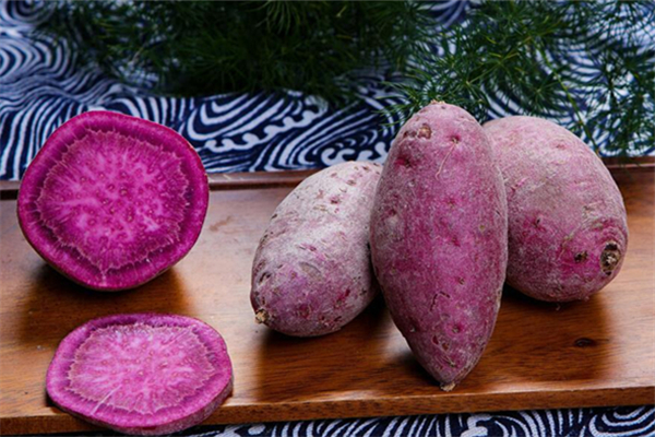 紫薯是不是轉(zhuǎn)基因食品 紫薯的禁忌 紫薯是不是轉(zhuǎn)基因食品 紫薯的禁忌