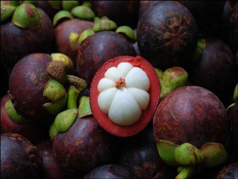 山竹的功效與作用 山竹的營養(yǎng)成分 山竹的功效與作用 山竹的營養(yǎng)成分