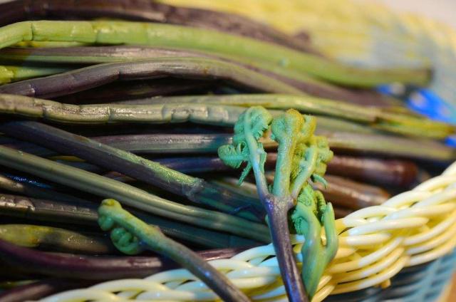 龍爪菜的功效與副作用 龍爪菜會(huì)致癌嗎