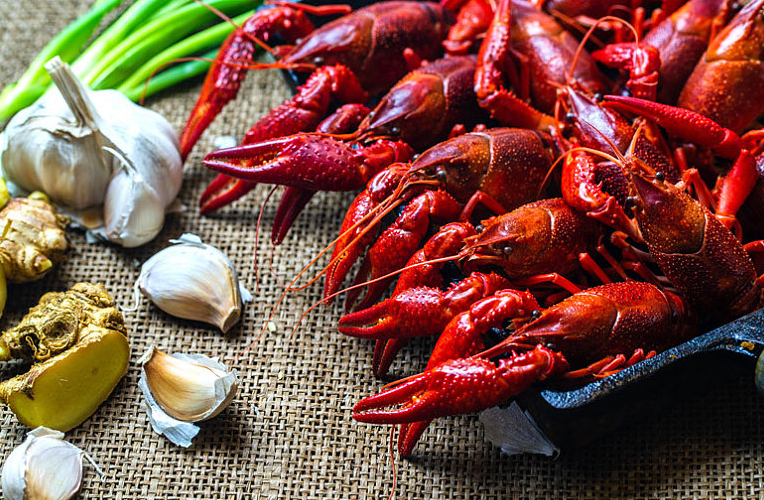 小龍蝦寄生蟲(chóng)能煮死嗎 小龍蝦寄生蟲(chóng)多嗎