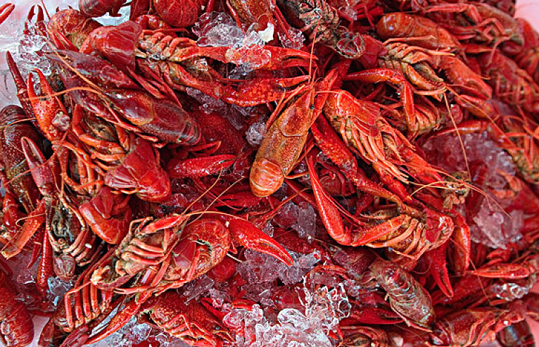 小龍蝦季節(jié)幾月到幾月 小龍蝦什么季節(jié)吃最好 小龍蝦季節(jié)幾月到幾月 小龍蝦什么季節(jié)吃最好