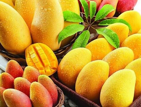 芒果是什么季節(jié)的水果 吃芒果的季節(jié) 芒果是什么季節(jié)的水果 吃芒果的季節(jié)