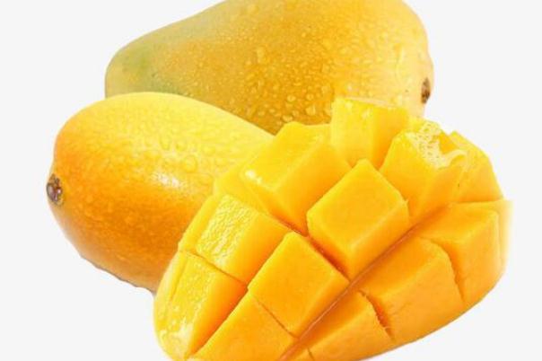 芒果是什么季節(jié)的水果 吃芒果的季節(jié) 芒果是什么季節(jié)的水果 吃芒果的季節(jié)