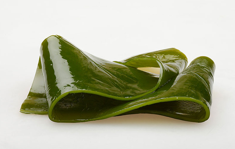 裙帶菜好吃還是海帶好吃 裙帶菜和海帶哪個(gè)營養(yǎng)價(jià)值更高 裙帶菜好吃還是海帶好吃 裙帶菜和海帶哪個(gè)營養(yǎng)價(jià)值更高